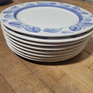 pfaltzgraff plate set